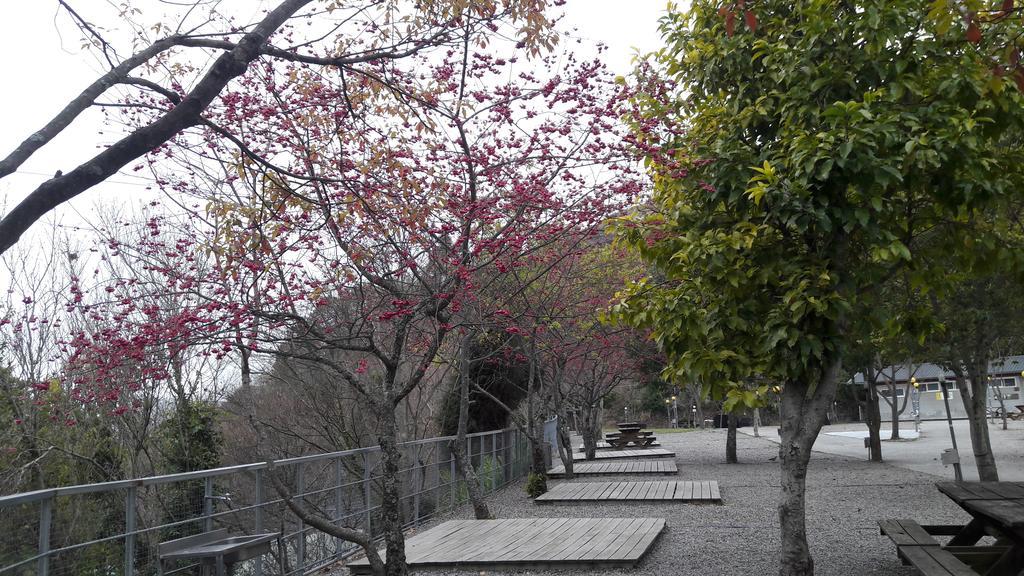Qing Jing Xiao Taiyang Jingguan Homestay Ренай Екстериор снимка